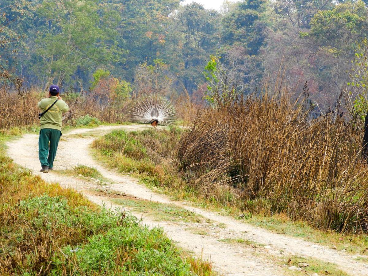 Bardia Wildlife Resort Bardiya Eksteriør billede